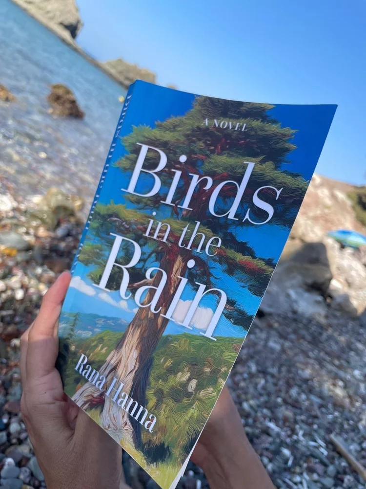 Birds in the Rain by Rana Hanna